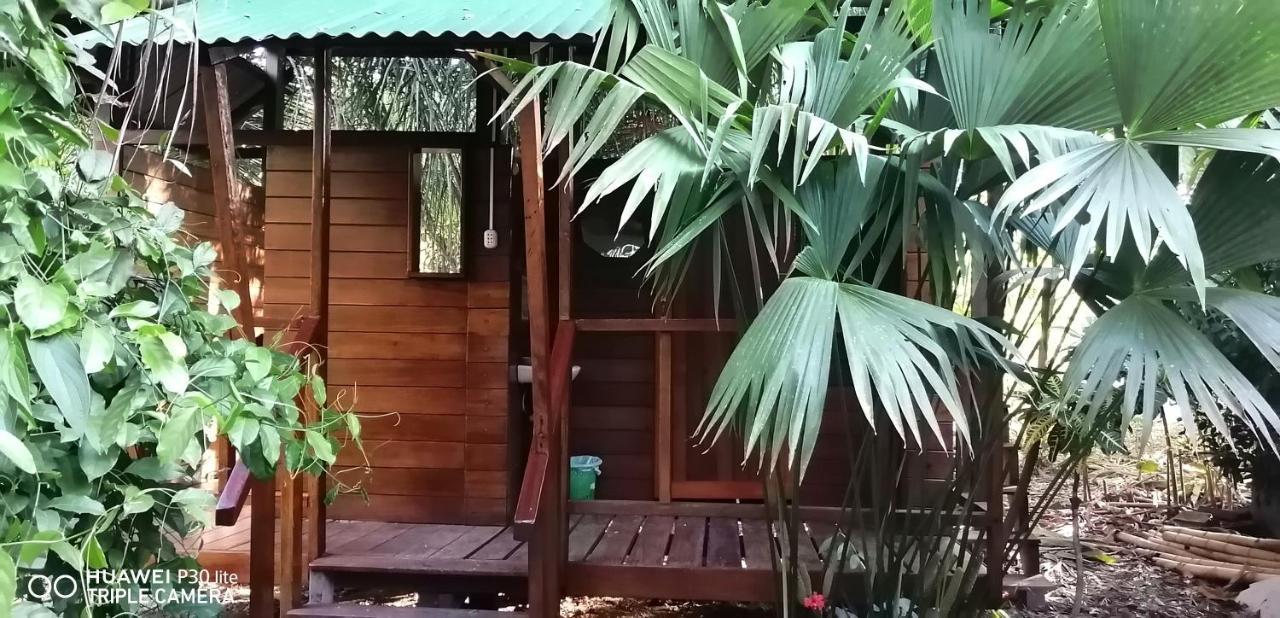 Passiflora Lodge Tambopata Puerto Maldonado Dış mekan fotoğraf