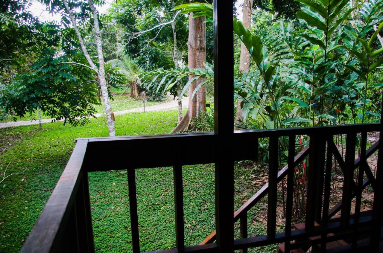 Passiflora Lodge Tambopata Puerto Maldonado Oda fotoğraf