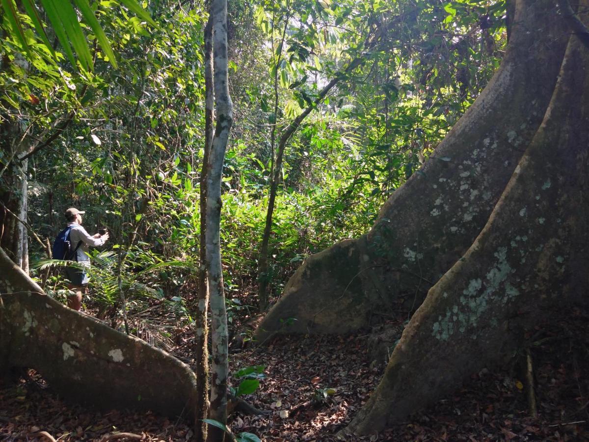 Passiflora Lodge Tambopata Puerto Maldonado Dış mekan fotoğraf
