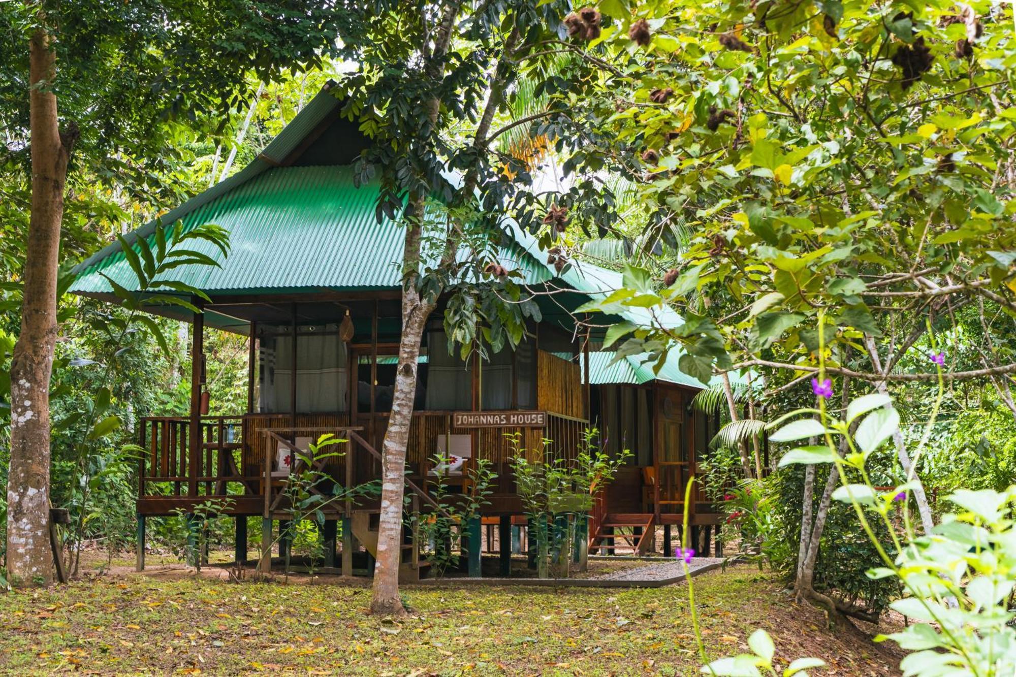 Passiflora Lodge Tambopata Puerto Maldonado Oda fotoğraf