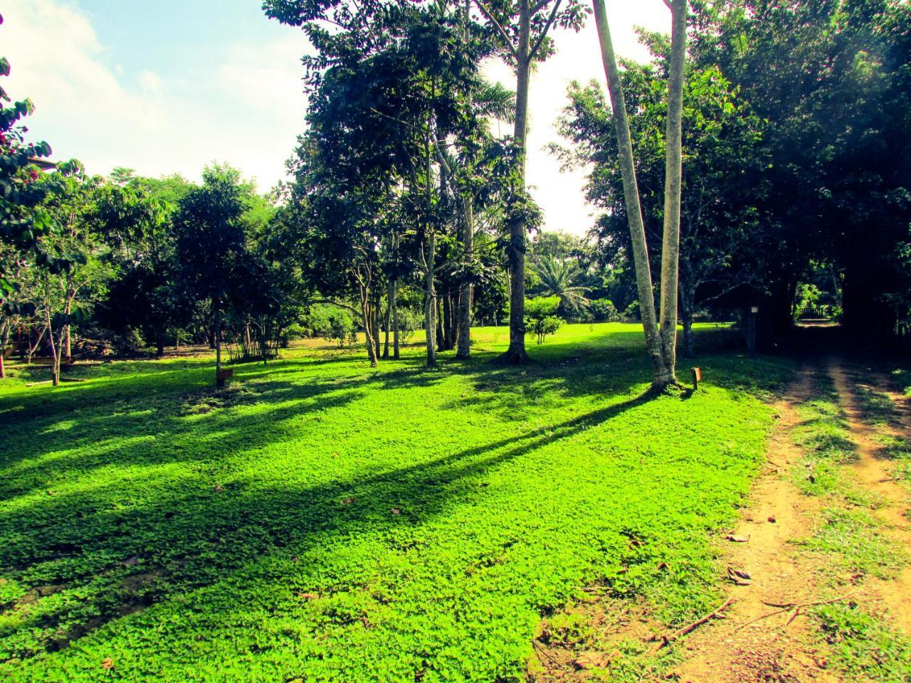 Passiflora Lodge Tambopata Puerto Maldonado Dış mekan fotoğraf